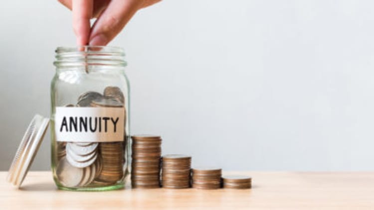Immediate Annuity Plan – Definition, Features & Best Options (Complete Guide)