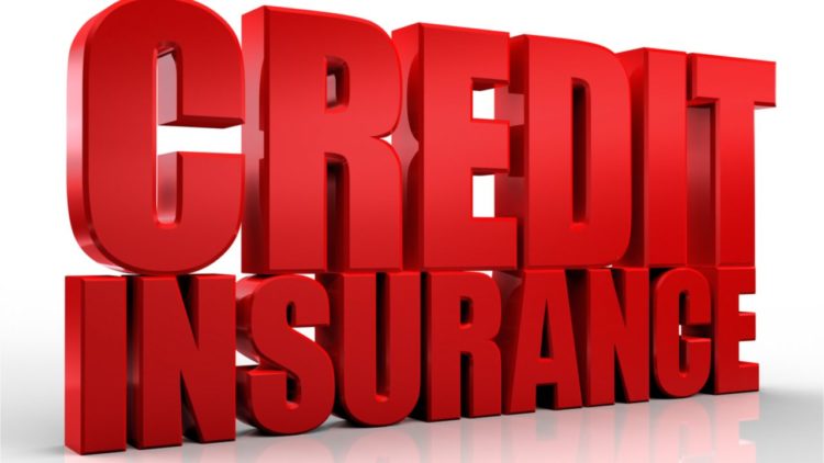 Complete Guide on Credit Insurance – Coverage, Claims & Exclusions