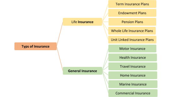 Types of insurance