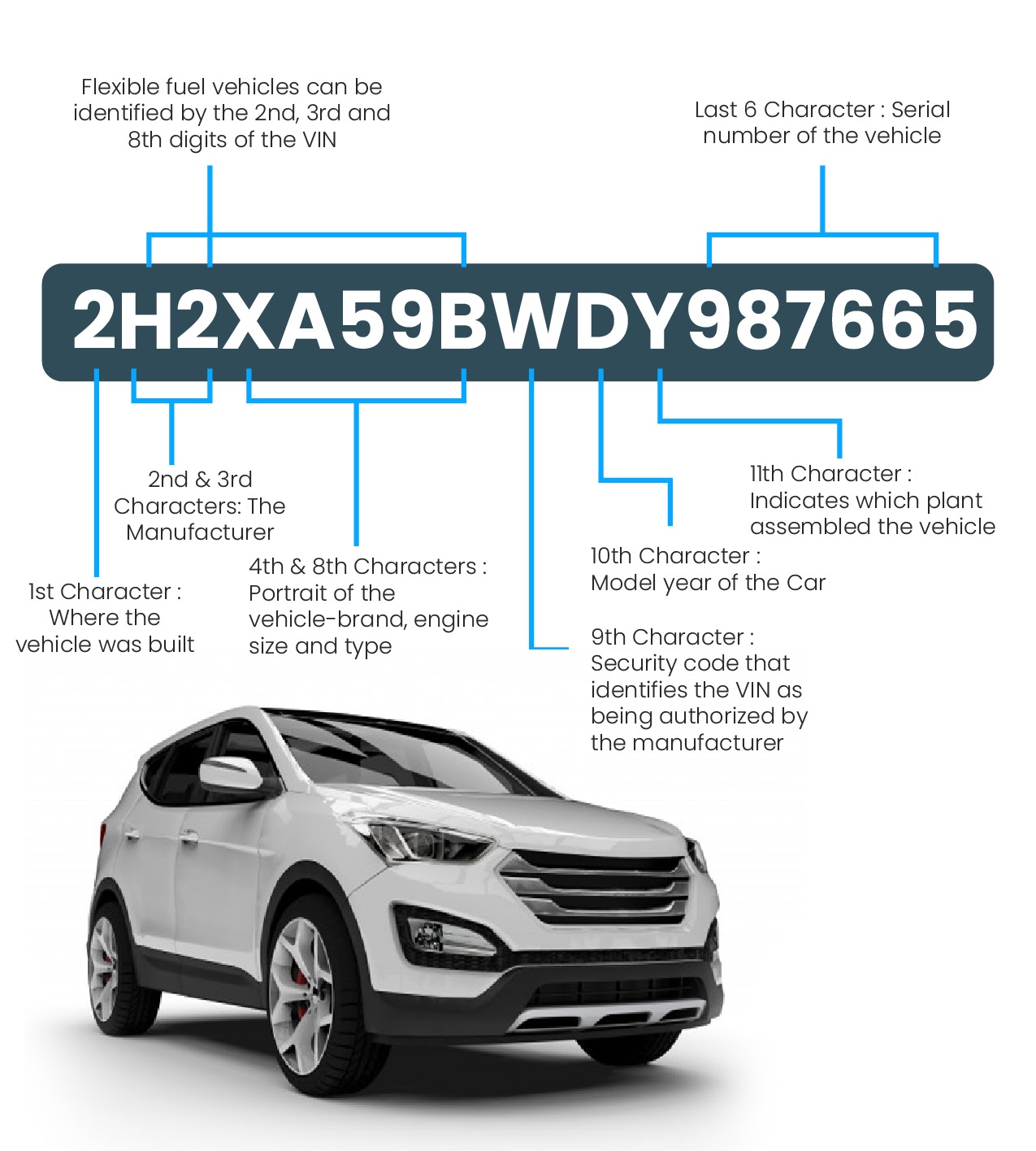 sample Chassis Number